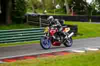 cadwell-no-limits-trackday;cadwell-park;cadwell-park-photographs;cadwell-trackday-photographs;enduro-digital-images;event-digital-images;eventdigitalimages;no-limits-trackdays;peter-wileman-photography;racing-digital-images;trackday-digital-images;trackday-photos